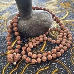 ✰︎‪ 琥珀 ✰ ✰︎様専用　ルドラクシャマーラートップガウリシャンカール14ムキ