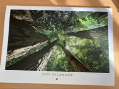 Item thumbnail for item 7810f16f-0968-4827-9e71-5e863f247b30