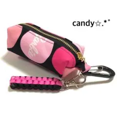 ゴルフボールケース ミニティーホルダー付き✩.*˚Barbie No.2