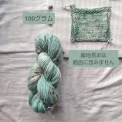 手染め毛糸 100ｇ ㉑25w3 ミントチョコ ソックヤーン 'ソフト'