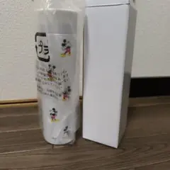 ディズニーストア ラッキーバッグ 2026 水筒 ステンレスボトル ミッキー