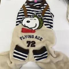 Item thumbnail for item 62f31b2a-bf7f-4054-8fb1-e7f179e0b677