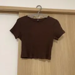 ブラウン クロップド Tシャツ 半袖