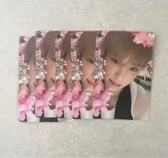 &TEAM HARUA ハルア 雪明かり 通常盤トレカ5枚セット