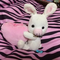 美男ですね ブタウサギ 小物入れ