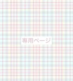 専用ページ 【N様】のサムネイル