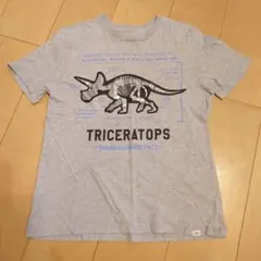 GAPキッズTシャツ150恐竜箔プリント杢グレー