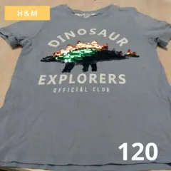 120　エイチアンドエム　恐竜　スパンコール　半袖　Tシャツ　トップス