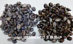 タカラガイ 043　user_d02d8cefさま専用