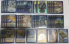 ガイアハザード退化 デッキ - メルカリ