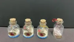 星の砂・さくら貝