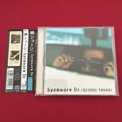 【帯付き】 柳ジョージ/シィカモア・ドライヴ　CD アルバム