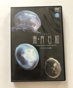 くらげびより　海月日和　DVD アクアリウム編