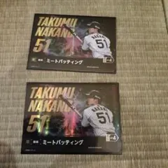 ドリームオーダー 中野拓夢 ミートバッティング