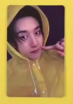 バンチャン タレントカード