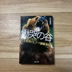 慟哭の谷 木村盛武　文春文庫