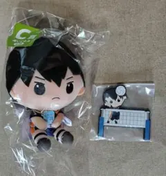 影山飛雄 C賞 ぬいぐるみ E賞 マグネットフック みんなのくじ ハイキュー