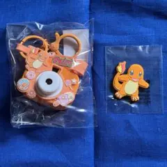 ポケモン ヒトカゲ カメラ キーホルダー & マグネット セット