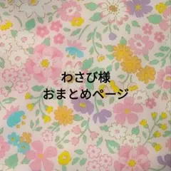 わさび　12日まで500円引ハンドメイド様 リクエスト 2点 まとめ商品