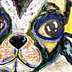 ボールペン画 ボーダー・コリー003【ドローイング 原画 イラスト 犬の