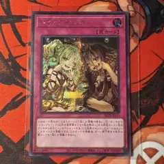 2026年最新】カード種別：罠カード 遊戯王OCG デュエルモンスターズの