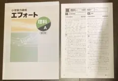 【最終値下げ！】中学受験　エフォート 理科 A 新訂版