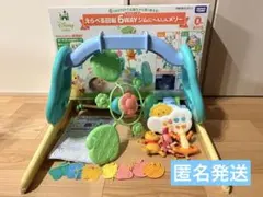 Item thumbnail for item 8e4d48da-6faf-4c65-bc6f-db45805220f5