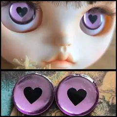 No.107ブライスアイチップ