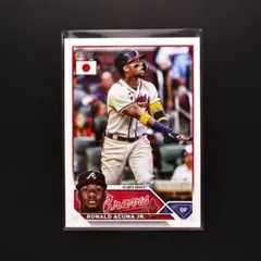 Item thumbnail for item 315c1826-228f-4760-b0e0-cd3426325f5b