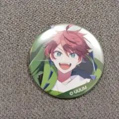 2025年最新】からぴち 缶バッジ じゃぱぱの人気アイテム - メルカリ