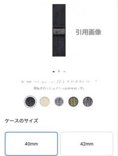 AppleWatch40mm NikeSportsLoop black/blue