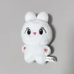 SEVENTEEN セブチ ジョンハン ぬいぐるみ ステッカー付き SEVENTEEN セブチ ジョンハン ぬいぐるみセット ジョンハン 10cm