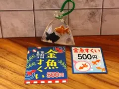 夏祭り 縁日マスコット 金魚すくい チョコバナナ ガチャガチャ - メルカリ