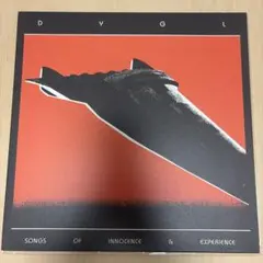 【専用 アームストロング様】 DYGL HEA-004 専用 アームストロング様】 DYGL HEA-004 - メルカリ
