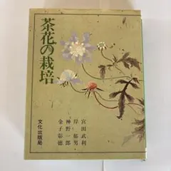 Item thumbnail for item 0bd08ecc-2a8e-4c84-84a9-c2894a28958e