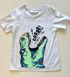 H&M 恐竜 グレー　ベージュ　Tシャツ 110cm スパンコール