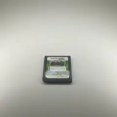 甲虫王者ムシキング　グレイテストチャンピオンへの道DS