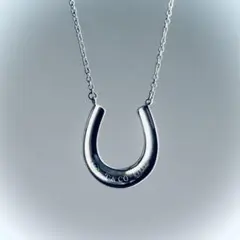 2026年最新】ティファニー ホースシューの人気アイテム - メルカリ