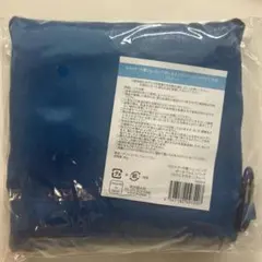 Item thumbnail for item 42e3fd22-f3e5-4f37-9a97-713c5d4f2a49