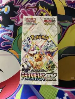 ポケモンカードゲーム テラスタルフェス 未開封BOX シュリンク付き