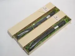 Item thumbnail for item 9c781387-60b2-41d4-9b23-b5bee743f21c