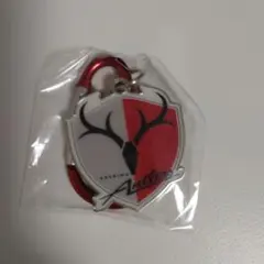 鹿島アントラーズ キーホルダー 応援グッズ