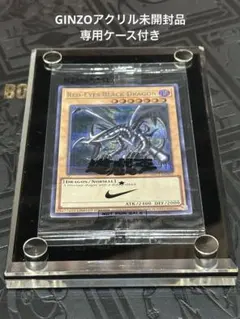 レッドアイズ・ブラックドラゴンSE NIKE コラボ 未開封 新品】 3000枚限定 遊戯王 ナイキ レッドアイズ ブラックドラゴン 真紅