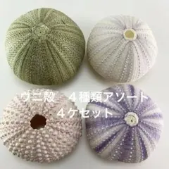 Item thumbnail for item 3aab2d67-386b-44ae-9dcc-6ccfb0de7aeb