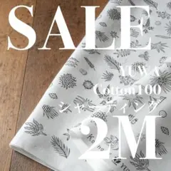 【SALE】07-3◆2M◆YUWA×河野愛さん◆綿100シャーティング◆