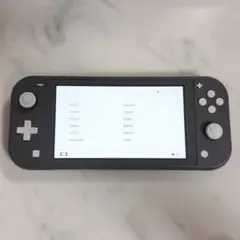 Nintendo Switch Lite 本体 グレー ジャンク品