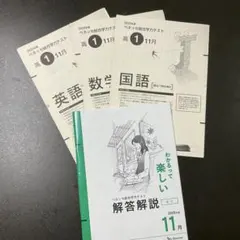 2025年最新】進研模試11月の人気アイテム - メルカリ