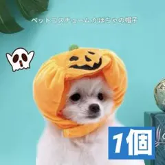 ペット用 かぼちゃ 被り物 S ハロウィン コスプレ コスチューム 犬 猫 帽子