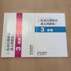 2026年最新】馬渕 公開 過去問の人気アイテム - メルカリ