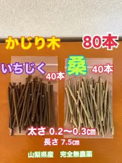 フルーツかじり木　2種類80本　桑　いちじく山梨県産完全無農薬